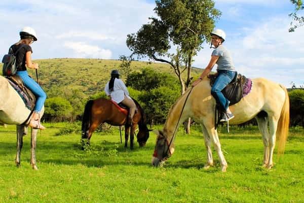 Aerial Cableway and Horse Trail Safari in Hartbeespoort, listing photo