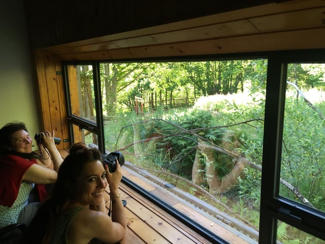 Birdwatching Hike in Cabezabellosa, listing photo