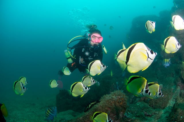 PADI Advanced Open Water Course in Cabo de Palos, listing photo