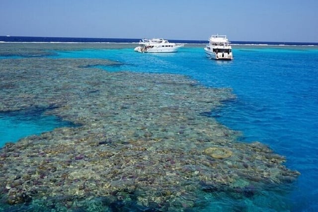 Coral Garden Full Day Boat Trip with Lunch & Transfer – Marsa Alam, listing photo