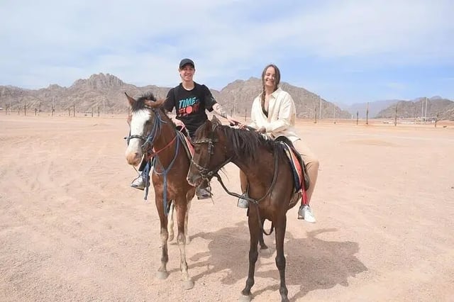 Horse Riding: 2 Hours Sea and Desert with Transfer in Hurghada, listing photo