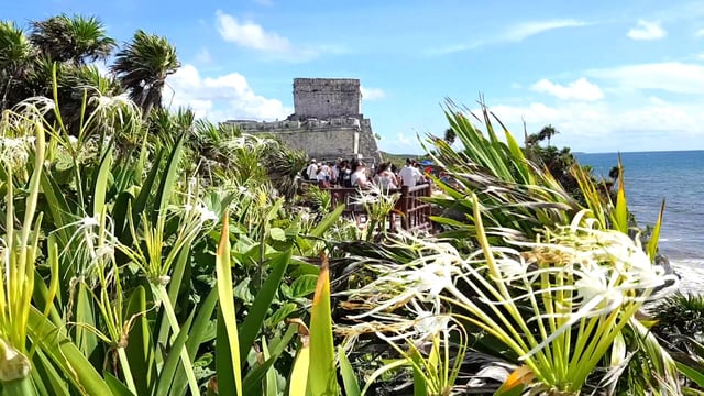 Tulum Ruins Akumal Turtle Swim and Nohoch Cenote Tour in Riviera Maya, listing photo