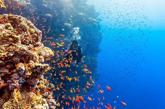 PADI Advanced Open Water Diving Course with Lunch and Transfer in Hurghada, listing photo