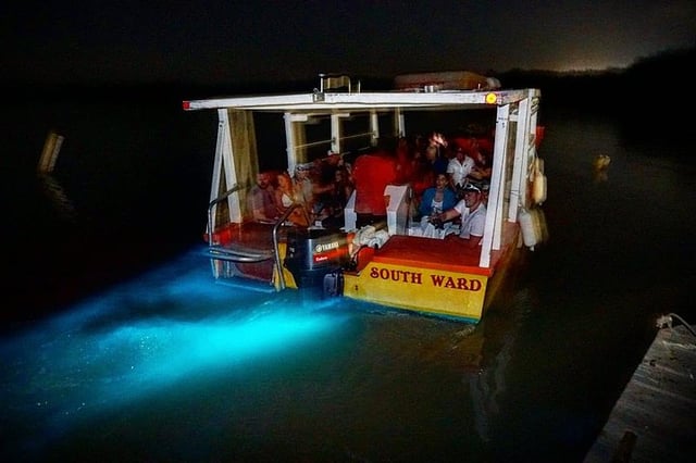 Waterfall Climbing and Lagoon Boat Tour in Falmouth, listing photo