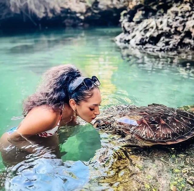 Snorkelling and Turtle Lagoon Visit in Nungwi, listing photo