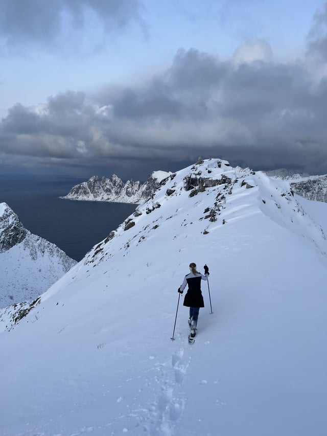 Snowshoe Hike to Husfjellet in Senja, listing photo