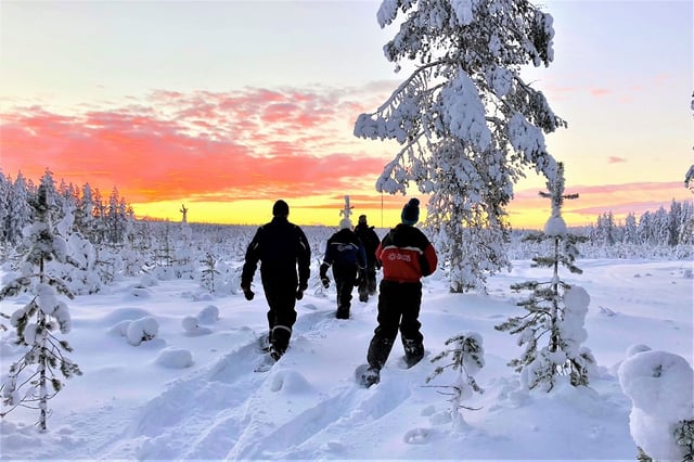 Snowshoe Hiking in Rovaniemi, listing photo
