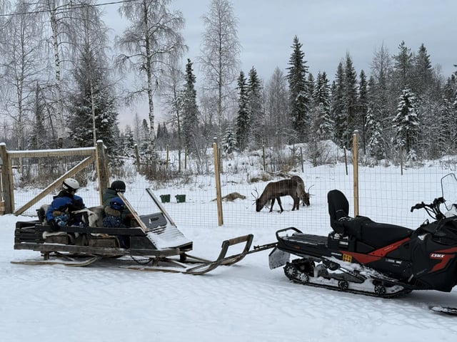 Snowmobile Sleigh Tour with Reindeer Farm Visit in Rovaniemi, Lapland, listing photo