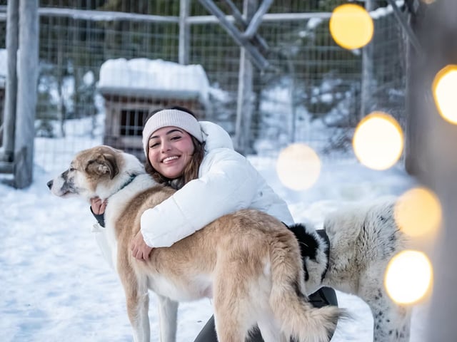 Husky Farm Visit and Guide Driven Sled Ride in Rovaniemi, listing photo