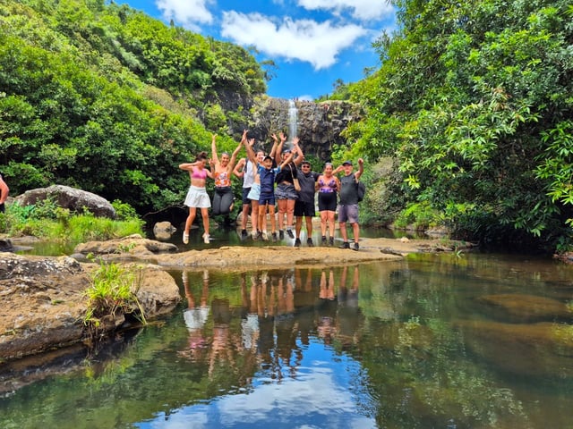 Waterfall Hiking in Tamarin, listing photo