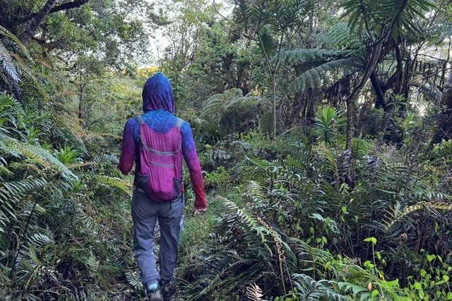 Blue Mountain Hiking and Coffee Tour, listing photo