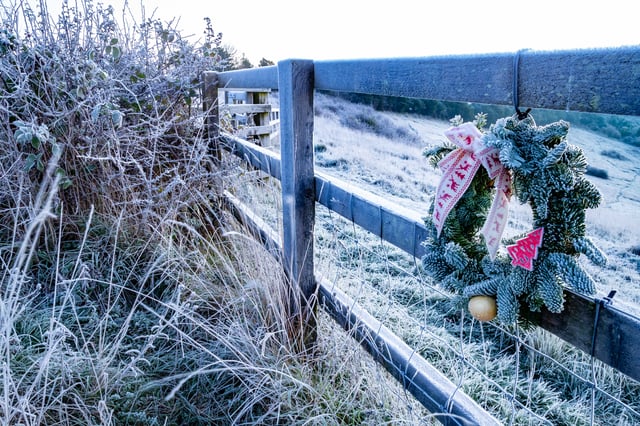 Seasonal Guided Walks in Yorkshire Dales, listing photo
