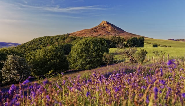 Roseberry Topping Guided Walk in North Yorkshire, listing photo