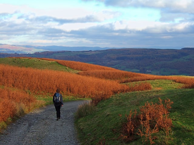 Guided Day Walk in the Peak District, listing photo