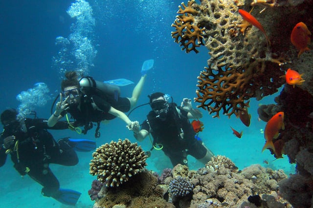 Scuba Diving in Mafia Island Marine Park, listing photo