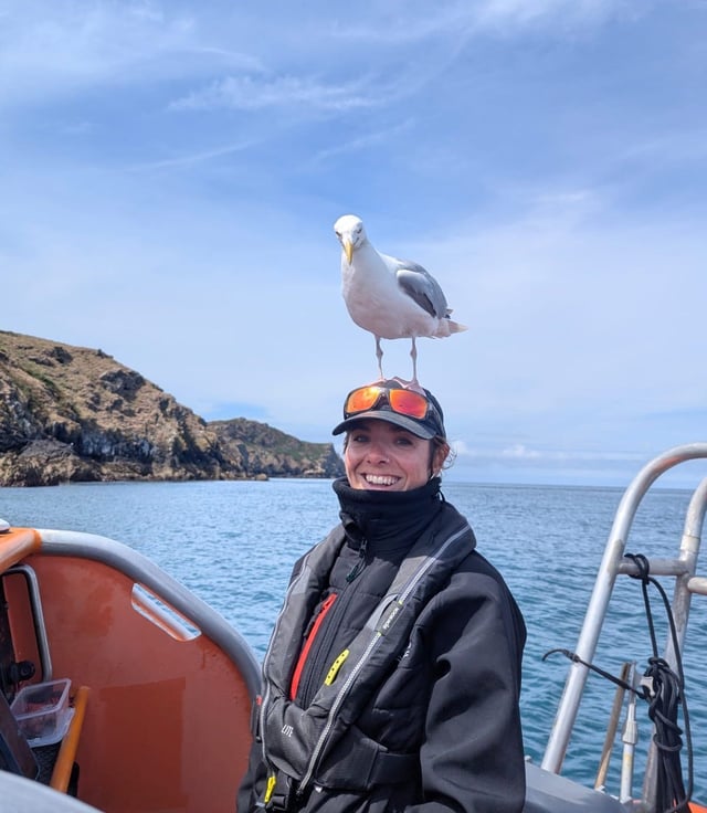 Skomer and Ramsey Islands Boat Trip in Pembrokeshire, listing photo