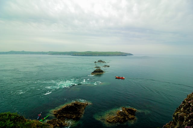 Fishguard Bay and Strumble Head Boat Trip in Pembrokeshire, listing photo