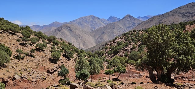 4-Day Atlas Panorama Trek in the High Atlas from Marrakech, listing photo