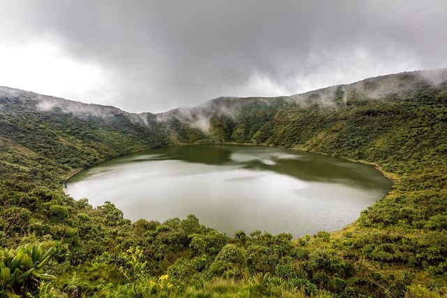 Hiking Gorilla Trek in Rwanda and Bwindi Uganda, listing photo