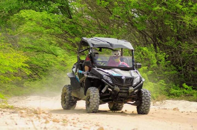 2-Hour Buggy Tour in Boa Vista, listing photo