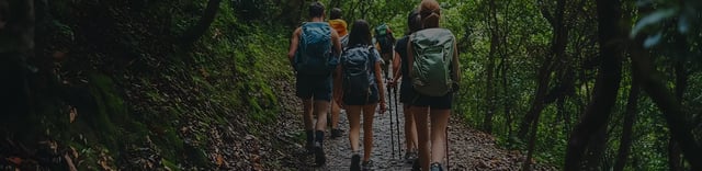 Rio Celeste Hike in Tenorio National Park from La Fortuna, listing photo