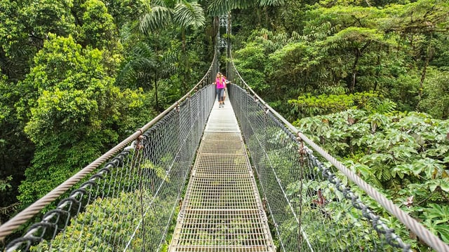 La Fortuna Waterfall and Arenal Volcano Hike, listing photo