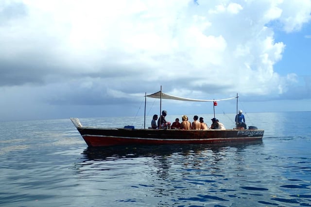 Snorkelling at Tumbatu Island from Nungwi, listing photo