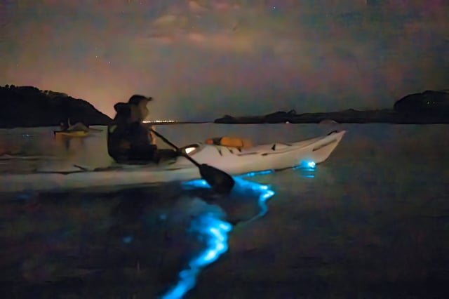 Waiake Bioluminescence Kayak Tour in Auckland, listing photo
