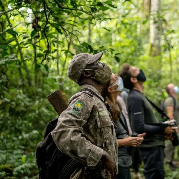 12 Day Luxury Gorilla Safari in Uganda, listing photo