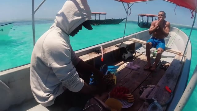 Dolphin Snorkelling and Beach BBQ at Pungume Island, listing photo