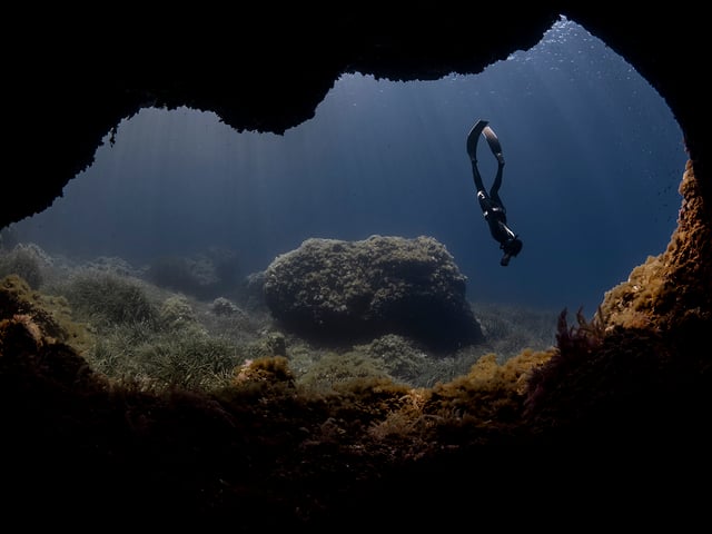 Online Freediving Consultation Session, listing photo