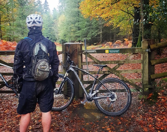 Bespoke Cycling Experience Tours in the New Forest, listing photo