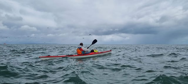 Intermediate Sea Kayaking Course in Torquay, listing photo