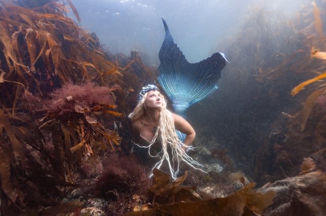 SSI Mermaid & Ocean Mermaid Combined Course at Porthkerris Cove, listing photo