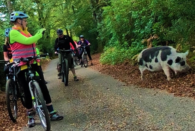 Back Of Beyond Adventure Cycle Tour, listing photo