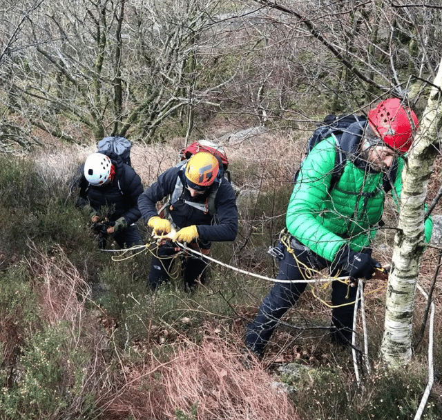 Mastering Crevasse Rescue Mountaineering Course, listing photo