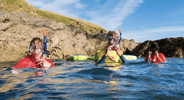 Paddleboard & Snorkel Adventure from Towan Beach, listing photo