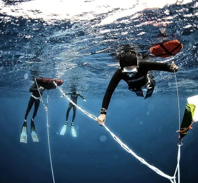 Freediving Training Session & Equipment Hire for L1+, listing photo