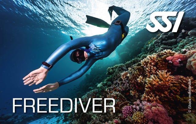 SSI Beginner Freediver Course (Level 1), listing photo