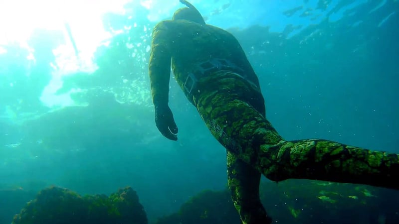 Guided Spearfishing, photo 2