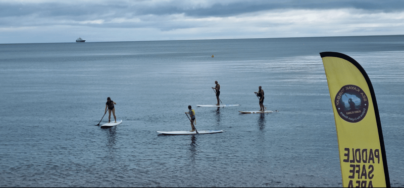 Family or Group SUP Tour in Torquay, photo 4