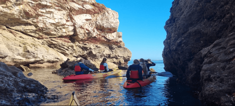 Sit-on Top Kayak Hire in Babbacombe, Torquay, photo 5