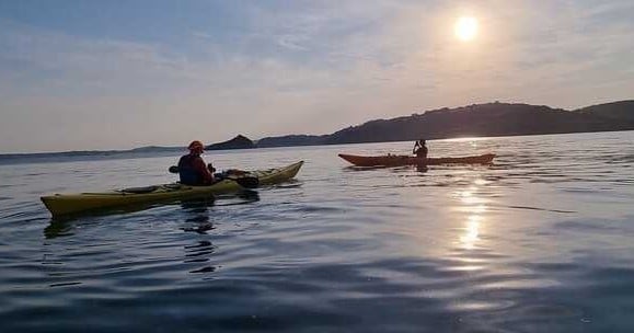 Guided Evening Wildlife and Sea Cave Kayaking Tour in Torquay, photo 2