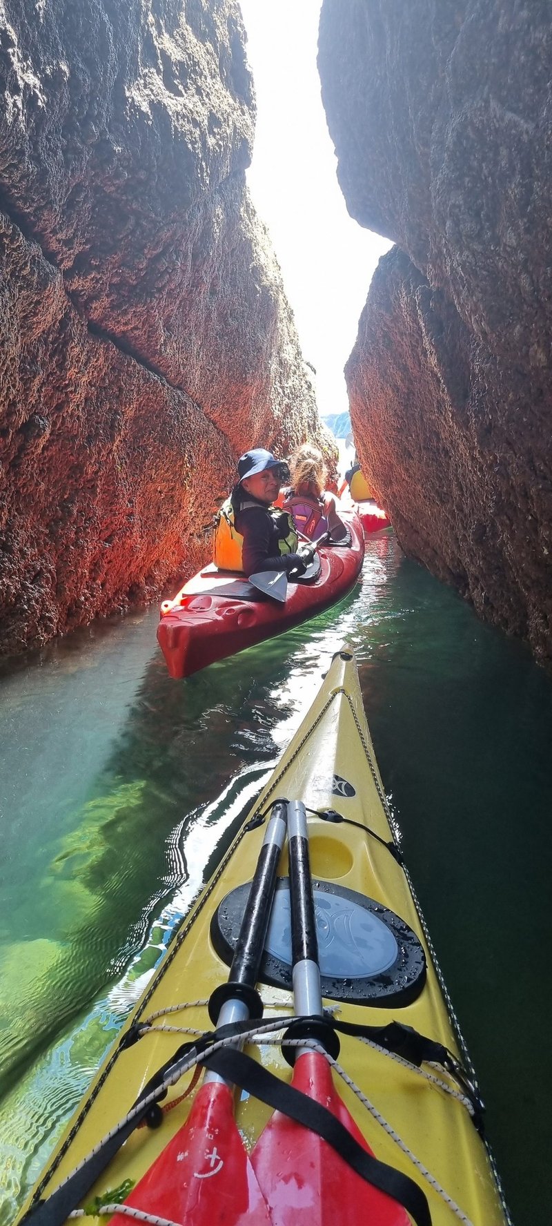 2-Day Intermediate Sea Kayaking Course in Torquay, photo 3