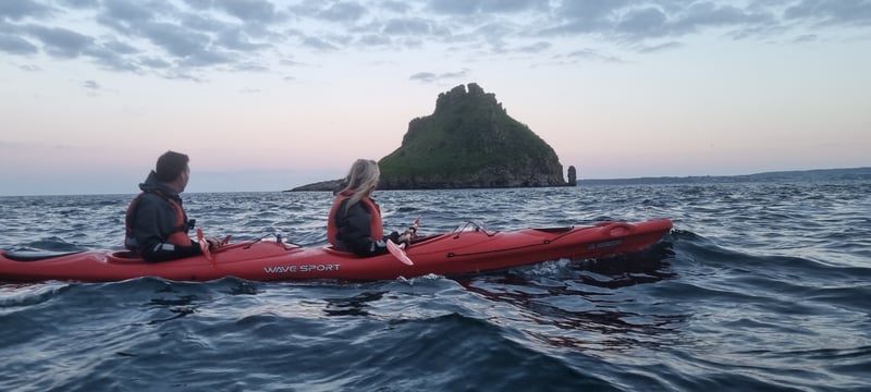 Guided Evening Wildlife and Sea Cave Kayaking Tour in Torquay, photo 3