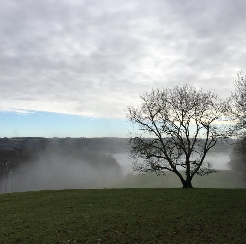 Guided Walking Tours in the Cotswolds, photo 5