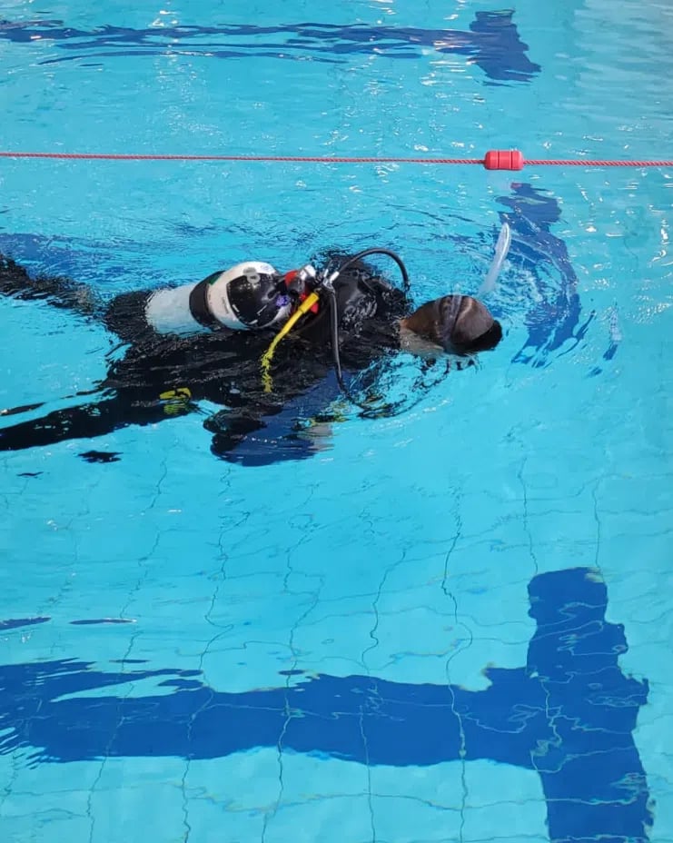 SSI Diver Stress & Rescue Course in Borehamwood, photo 3