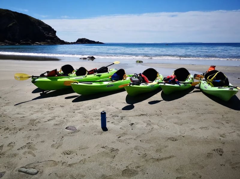 Kayaking Adventure in St Davids, Pembrokeshire gallery 6
