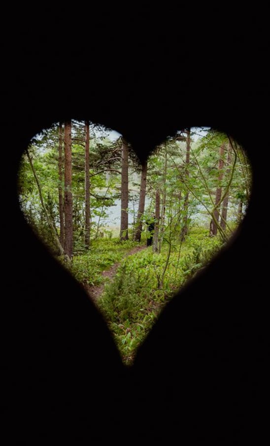 4-Night Kayak and Wild Camping Finland Island Adventure gallery 9