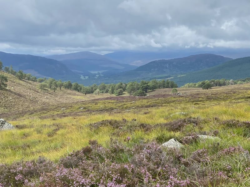 The Complete Cairngorms – 6-Night Hiking Holiday gallery 2
